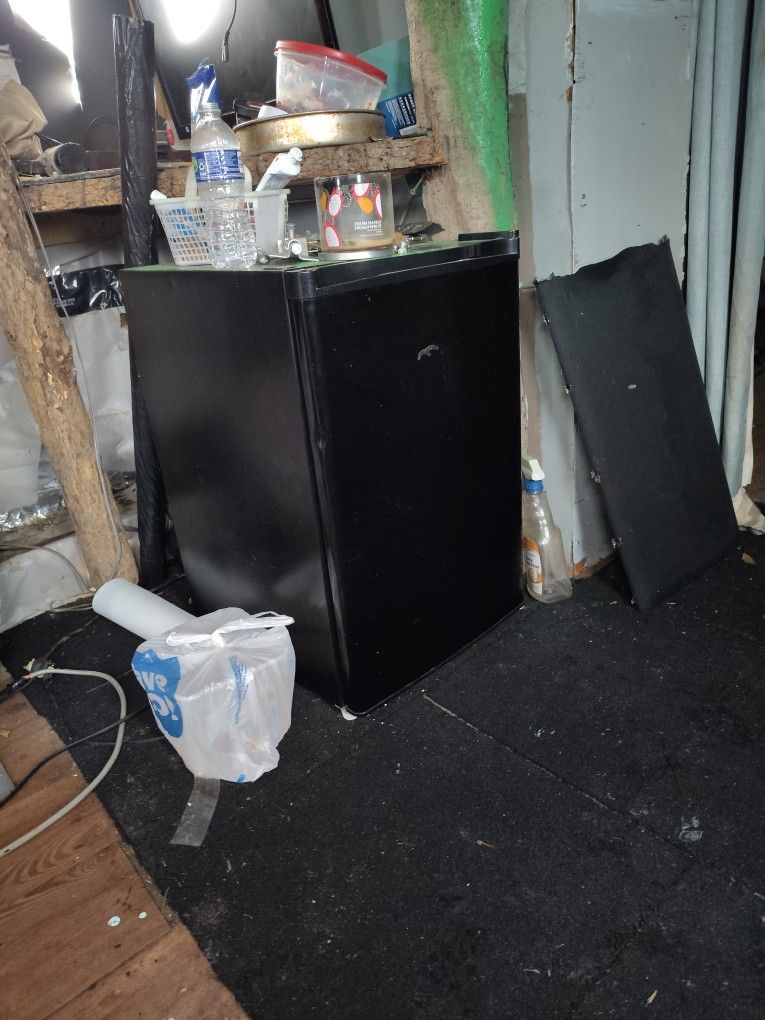 Mini Fridge