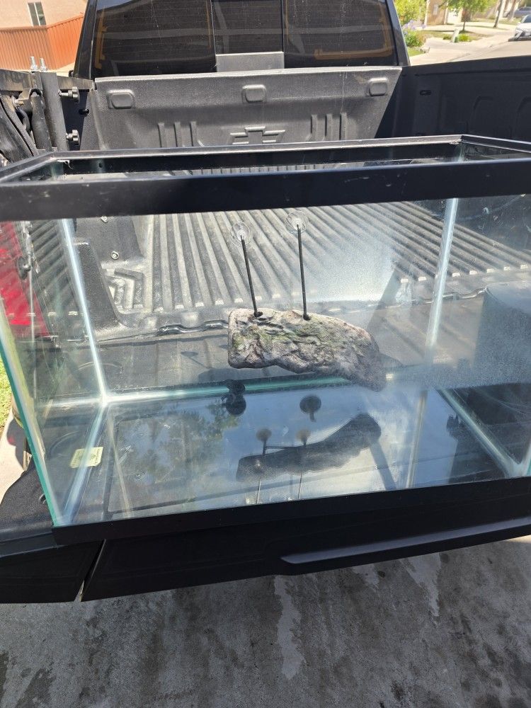 Turtle Tank Setup