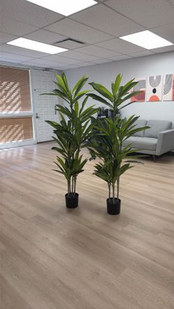 Artificial Dracaena Floor Plants – 5 ft (Set of 2)