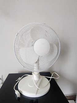 Fan