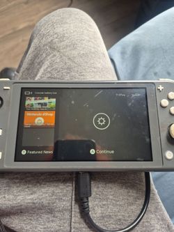Switch lite