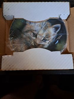 3 PRINCETON GALLERY PLATES