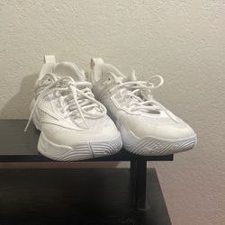 Giannis Nike Basketball Shoes