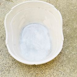 x large cat Litter Box, fits a Maine Coon Cat,  pickup by UCSD 