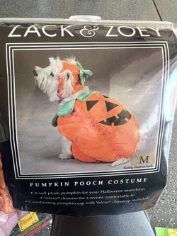 Halloween Pumpkin Dog Costume 