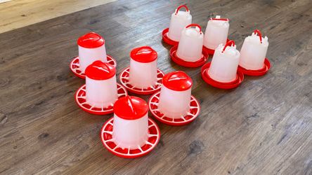 Comedero y Bebedero para ave $5 cada uno