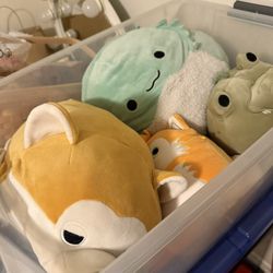 Plushies lot