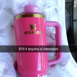 Pink Stanley
