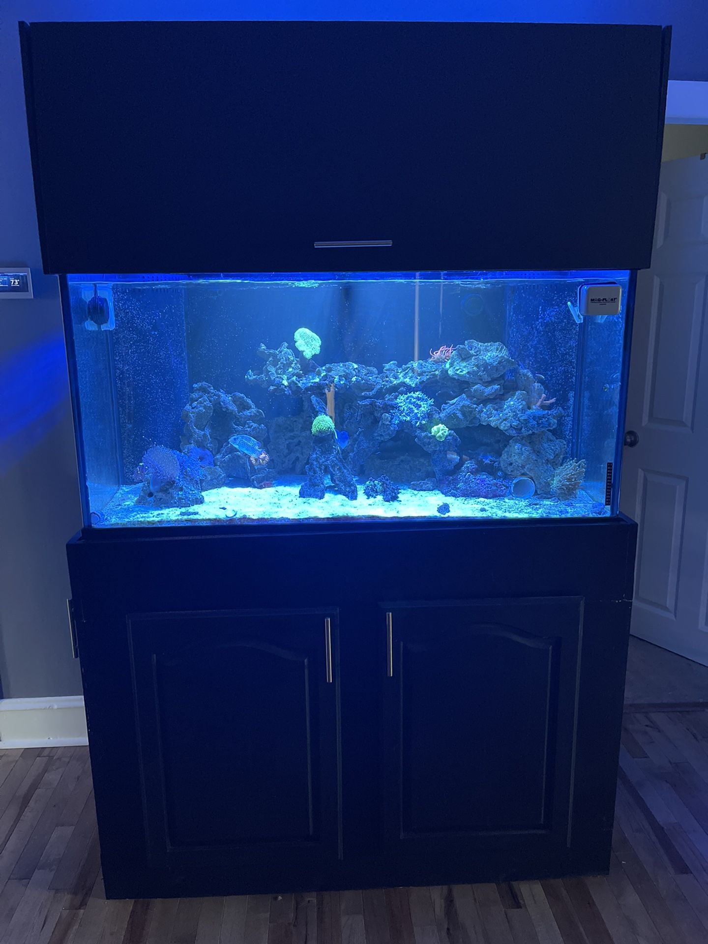 120 Complete Aquarium Setup 