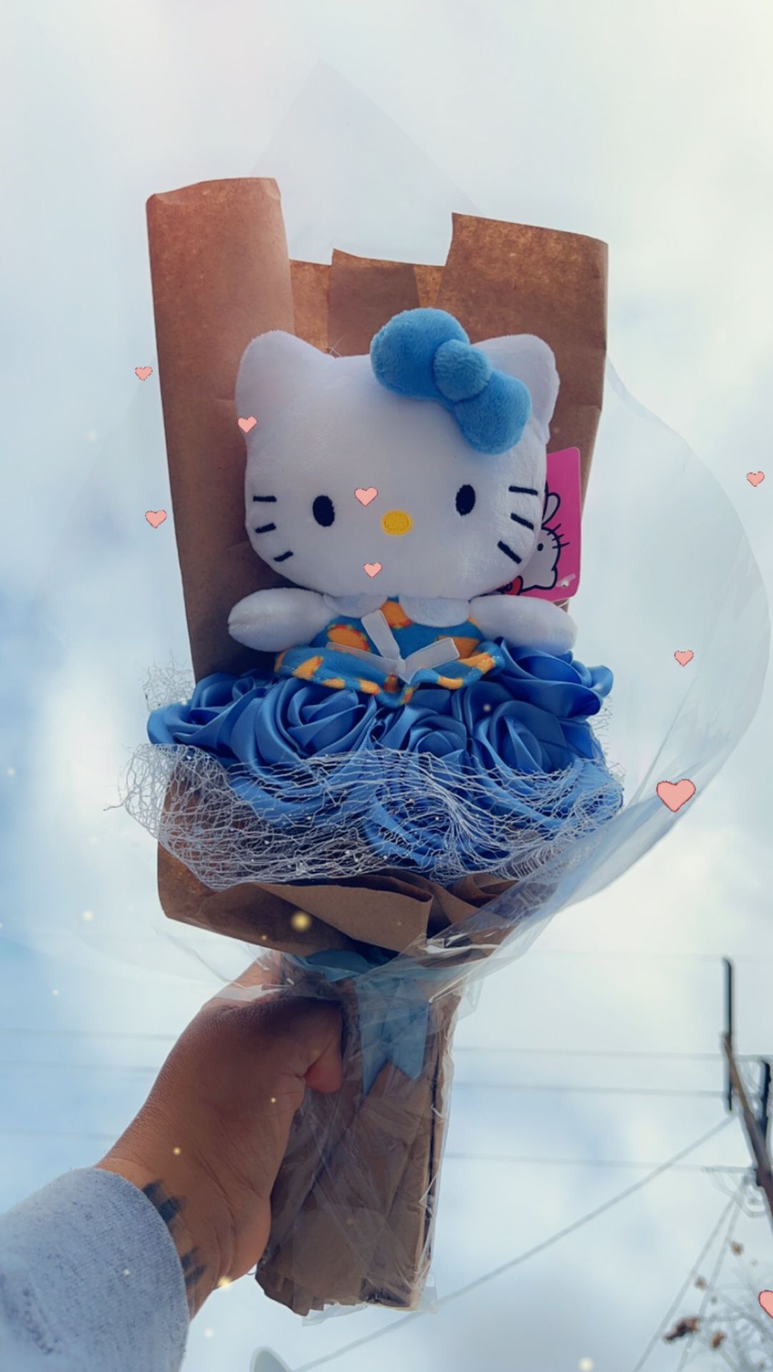 Hello Kitty Ribbon Bouquet 