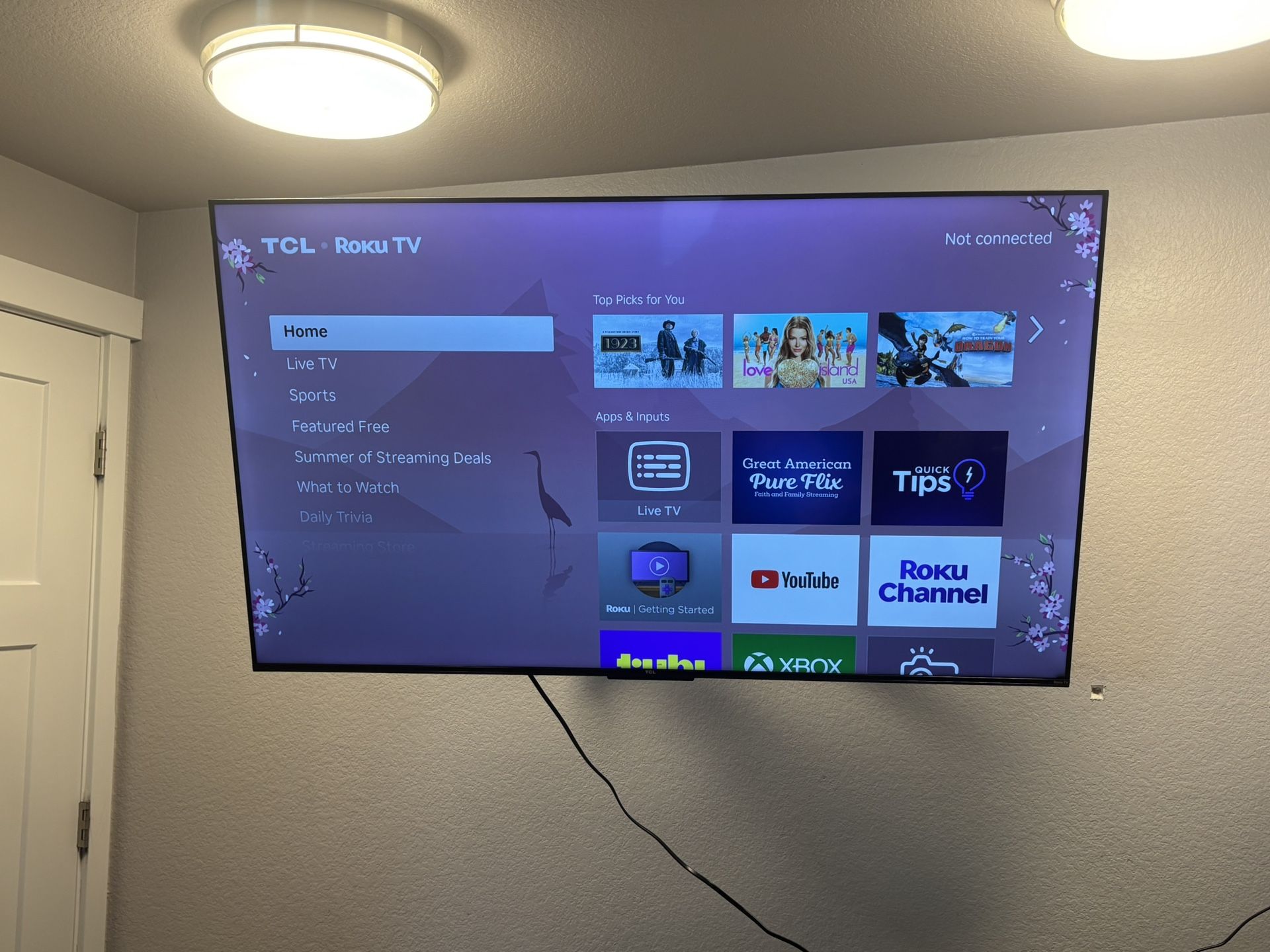 Huge Roku Tv