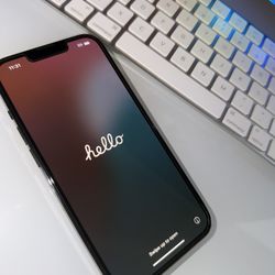 iPhone 13 Pro ( Unlocked )