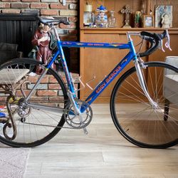 54cm EDDY Merckx Team Road Bike All Campagnolo