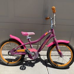 16” Schwinn Kids Bike