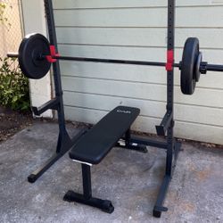 bench press/squat rack/pull up bar/