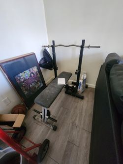 Curl bar, rack, bench, weights, gym