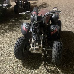 2004 Polaris Predator 90cc 