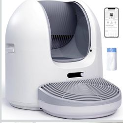 Cat 🐈 Little Box Self Cleaning 