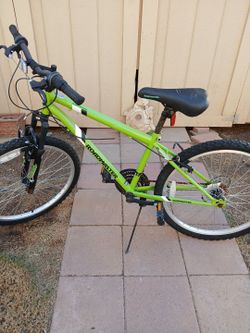 Road master bike