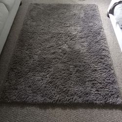 Living Room Carpet Area 