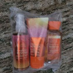 Bath and Body Works Sunshine Mimosa Gift Set