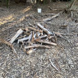 Free Firewood For Camping