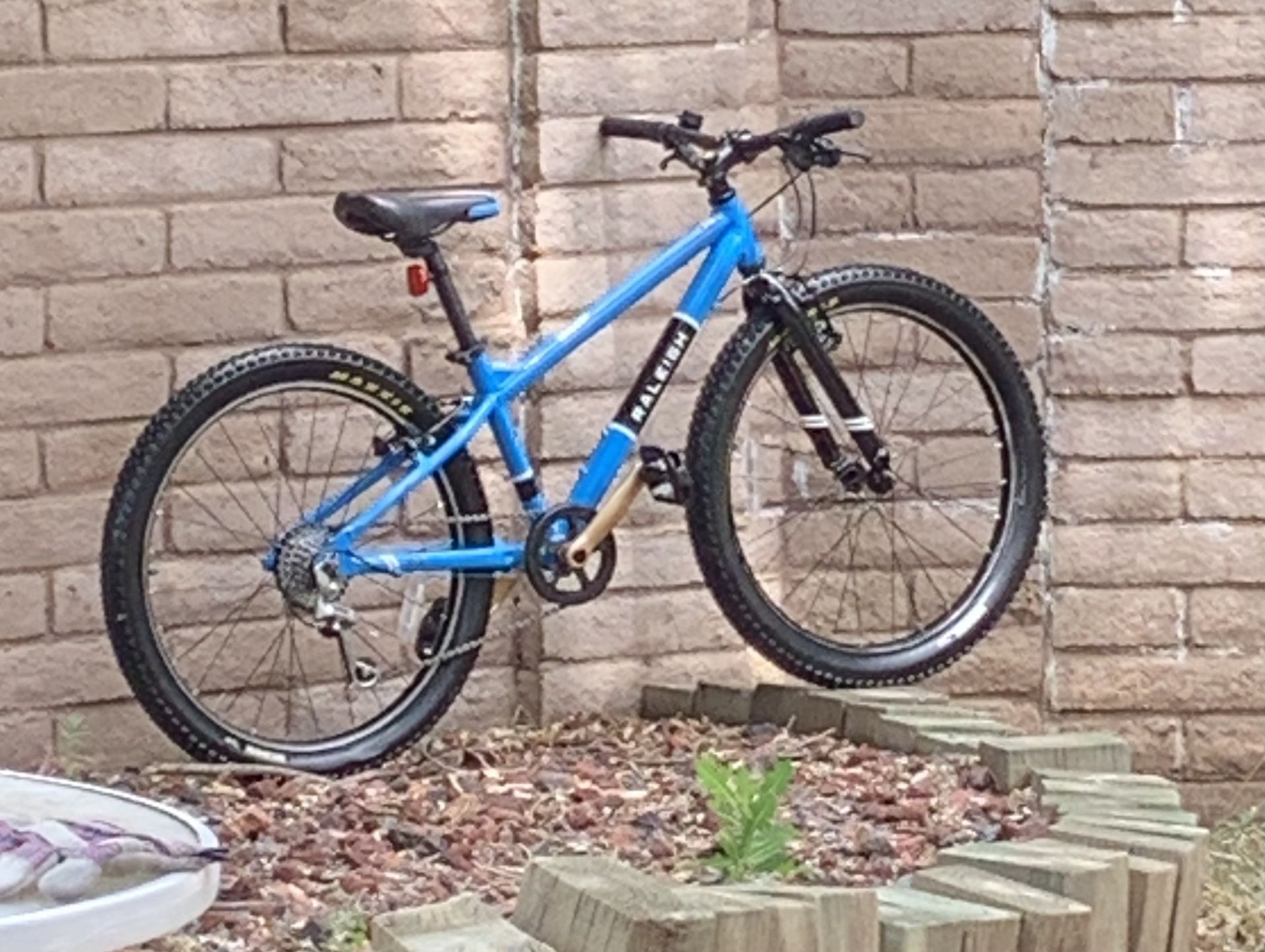 Raleigh Rowdy 24