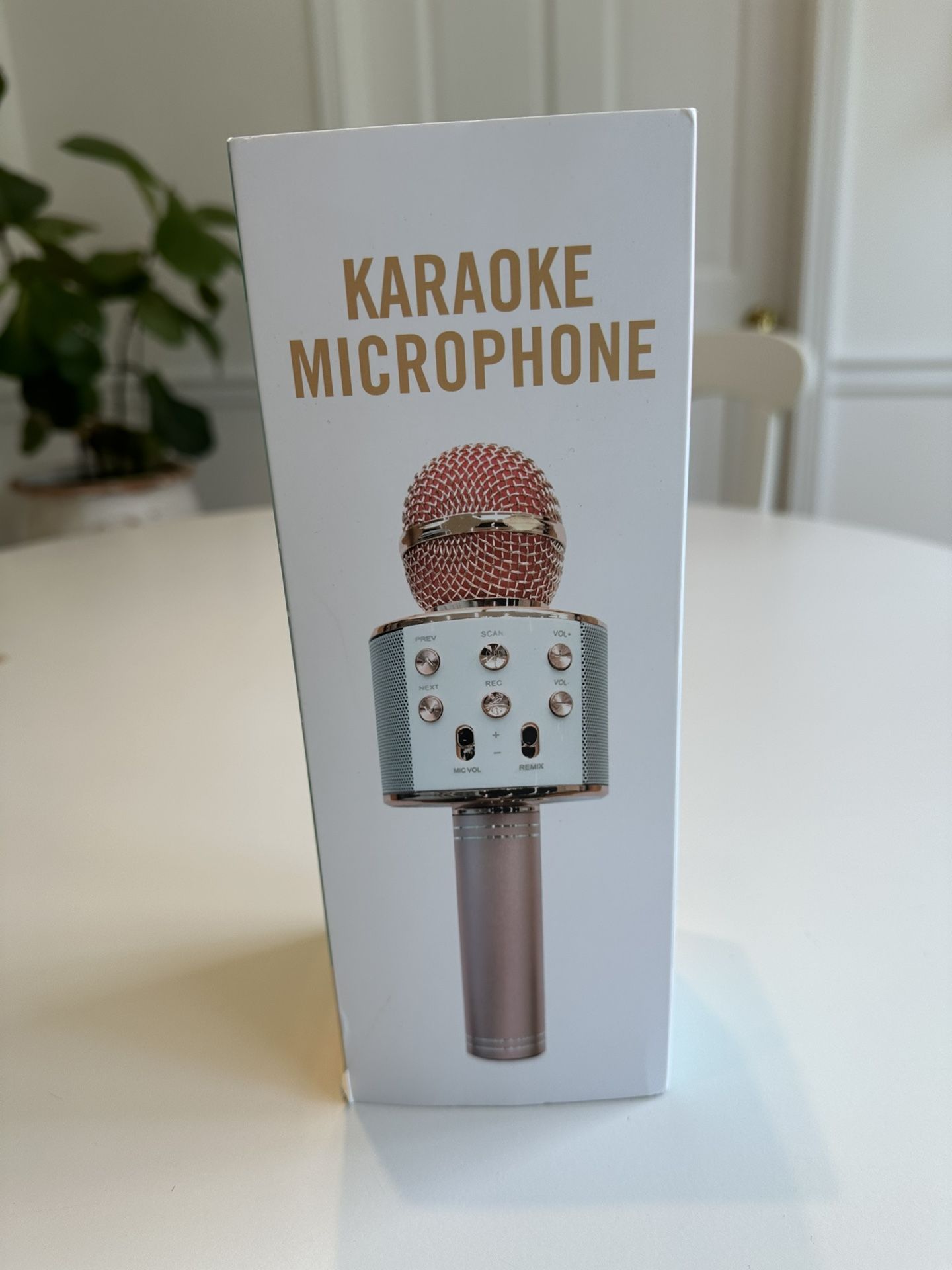 Karaoke Microphone
