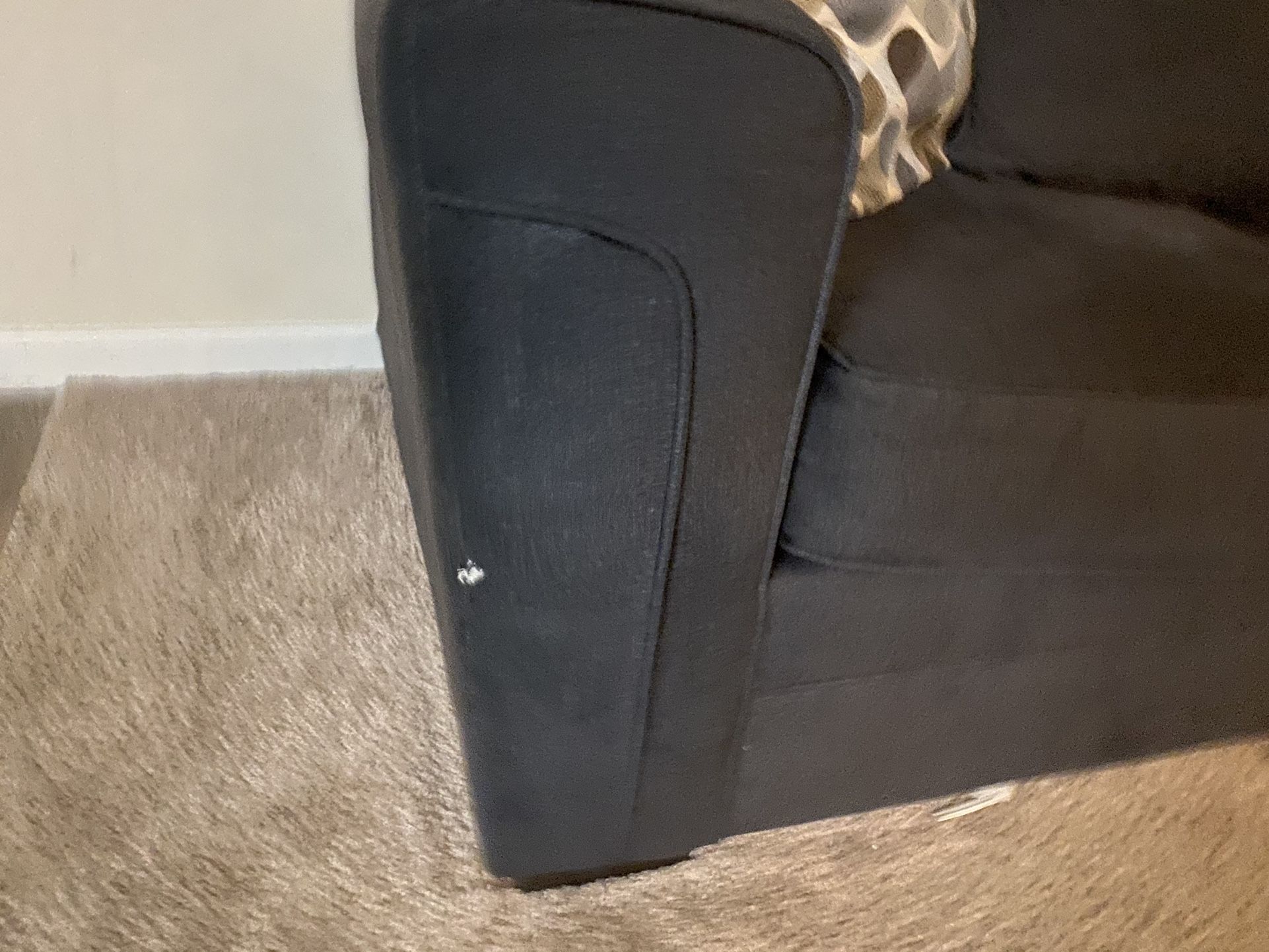Great Starter Couches For Sale