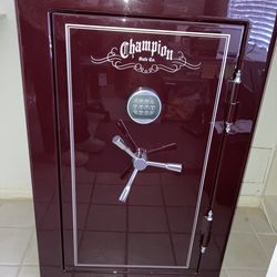 Champion Safe 11 cu feet