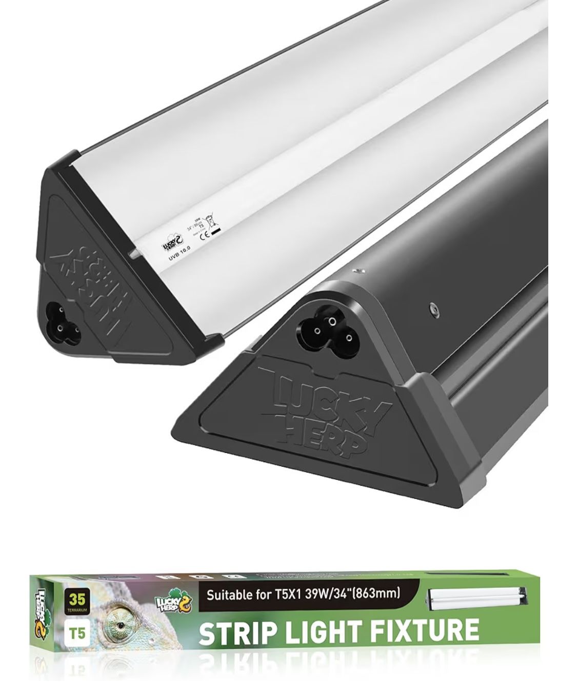 Reptile Light Fixture & Bulb 