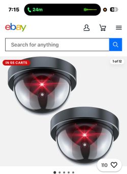 Fake security cameras