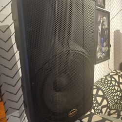 Cedarslink Professional Audio 15' Woffer With Stands