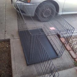 Big DOG Cage