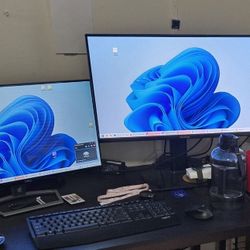 Dell And ViewSonic Monitors 