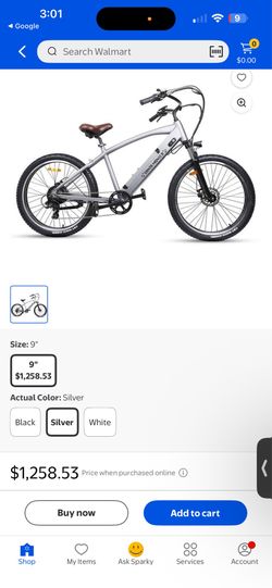 Santa Monica Electric Mountain Bike