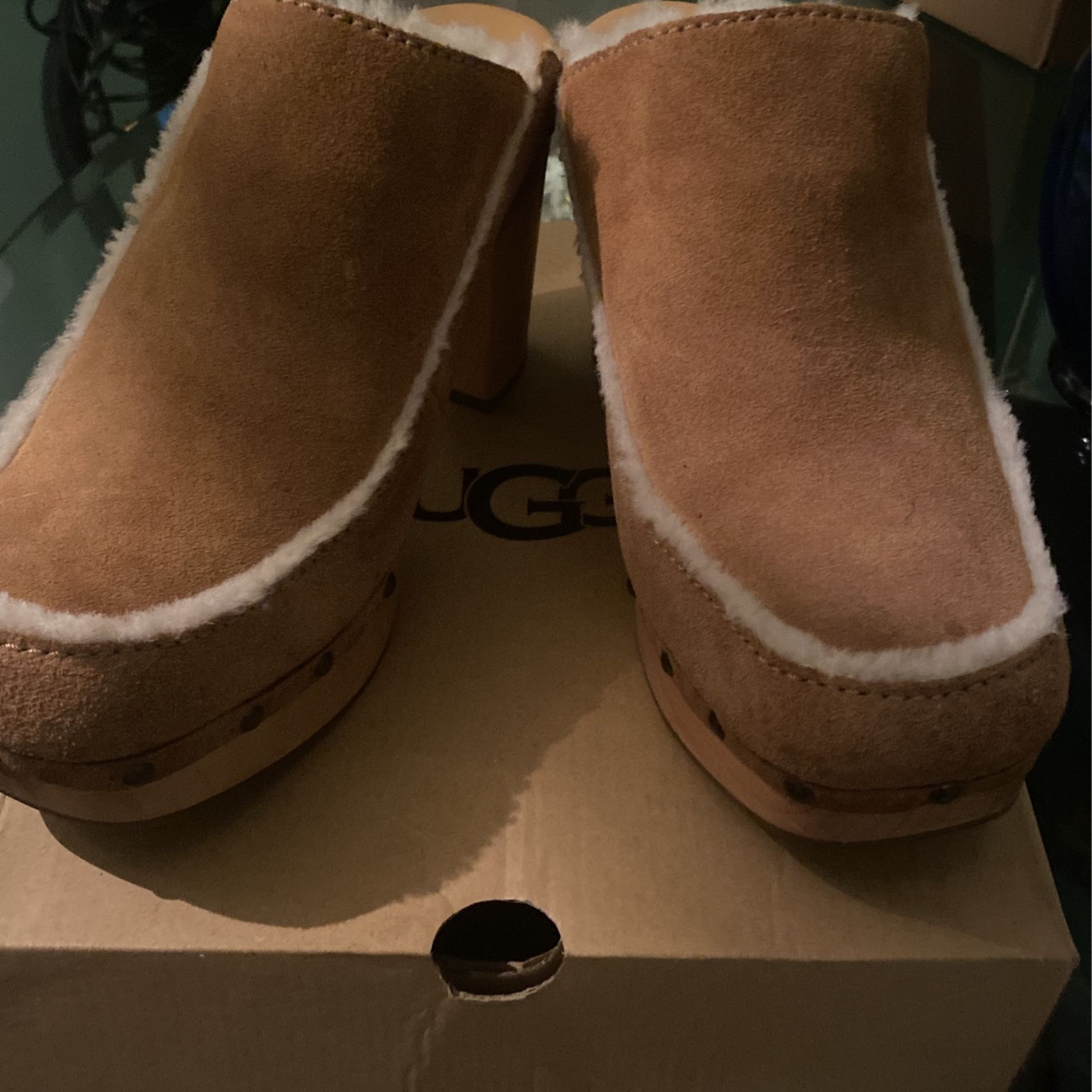Ugg Mules