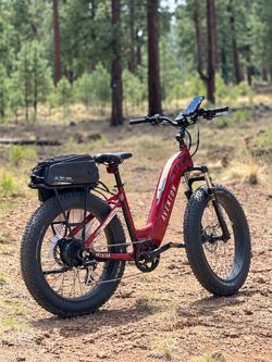 🚲 E-BIKE PACKAGE + ELECTRIC BIKE HITCH RACK – READY TO RIDE!