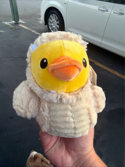 Duck Plushies