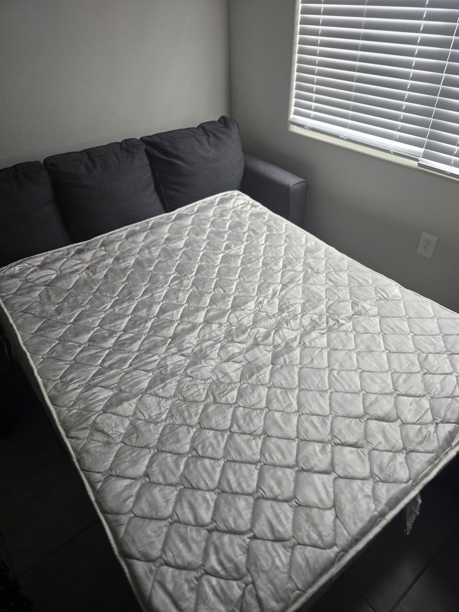 Pull Out Couch