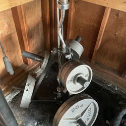 Weight Plates + Rack And Ez Bar 