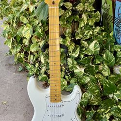 Dillion -DVS-59 - Snow White- Electric Guitar 