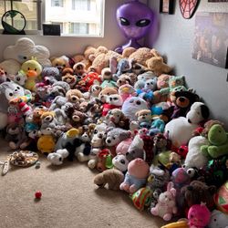 Stuff Animals
