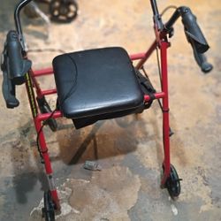 Drive Walker 