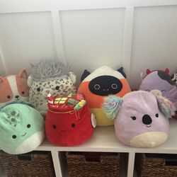 Squishmallows 