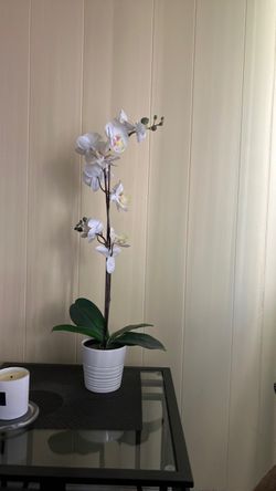 IKEA Faux plant