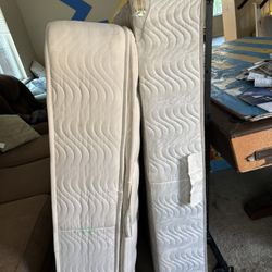 Full Size Bedding Set (frame, box spring, mattress)