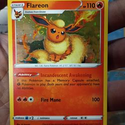 Pokemon Eeveelutions 