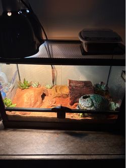 Reptile tank Reptile tank