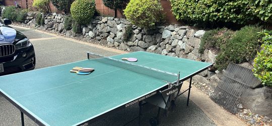 ping pong table
